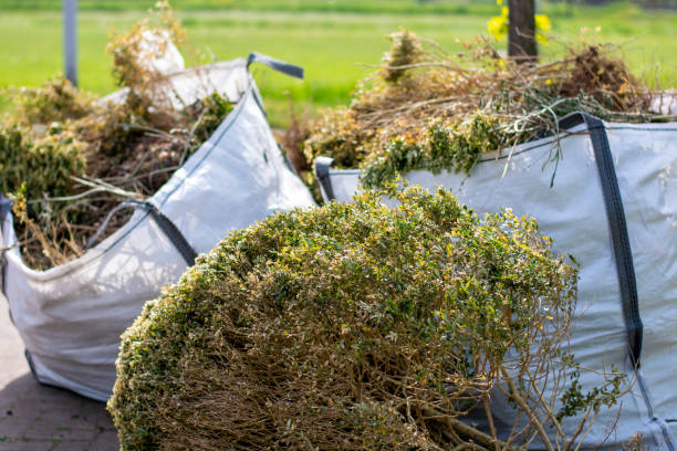 Best Shed Removal  in Lakin, KS